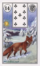 Fuchs
